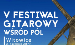 Festiwal gitarowy w Witowicach