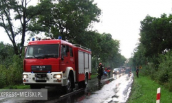 O krok od tragedii. Konar spadł na drogę tuż przed nadjeżdżające auto [AKTUALIZACJA]