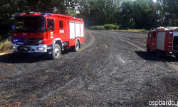 Strażacy gasili pożar zboża, a także czajnik pozostawiony na kuchence [raport straży pożarnej]