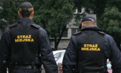 Prawie 1.5 tys. interwencji i podjętych spraw. Statystyki ząbkowickiej straży miejskiej