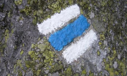 Nowy szlak turystyczny z Henrykowa do Nowiny
