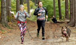 Dogtrekkingowy Finał Pucharu Polski w Złotym Stoku. Jakub Glajcar najlepszy