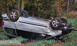 Uderzył w przebiegającego przez drogę jelenia. Dachował i wylądował w rowie [FOTO]