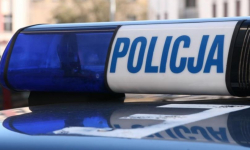 15-latek z marihuaną i kradzież na ogródkach działkowych [raport policji]