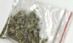 Nastolatkowie z narkotykami oraz oszustwa [raport ząbkowickiej policji]