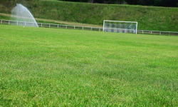 Orzeł z dofinansowaniem. Będą łapacze, nowe bramki i boksy dla rezerwowych