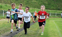 „Franky Run” w Ząbkowicach Śląskich. Znamy najlepszych biegaczy ze szkół podstawowych [foto]