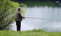 Chciał wręczyć łapówkę straży rybackiej [raport ząbkowickiej policji]