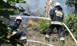 W Srebrnej Górze pali się ściółka leśna i trawy. Zadysponowano dromader [foto]