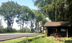Turystyka rowerowa w powiecie ząbkowickim - Góry Bardzkie i Złote [część III]