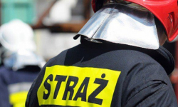 Próba samobójcza, pożary ściernisk oraz nietoperz w mieszkaniu [raport straży pożarnej]