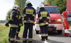 Pożary ściernisk, suchej trawy i słomy, wypadki oraz zawalona ściana [raport straży pożarnej]