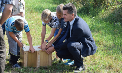 Kolejne zające na wolności. Trwa realizacja programu odbudowy zwierzyny drobnej [foto]