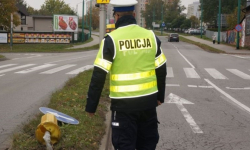 Policjanci przeprowadzą jesienną lustrację dróg. Masz swoje uwagi? Przekaż je!