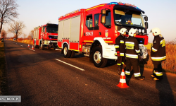 Dwa pożary i sześć miejscowych zagrożeń. Spokojny tydzień strażaków [raport]