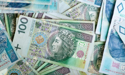 Niemal 600 tys. zł dla organizacji. Sprawdź ile pieniędzy otrzymają kluby, stowarzyszenia i fundacje