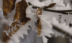 IMGW ostrzega przed silnym mrozem. Temperatura w nocy może spaść nawet do -17°C!