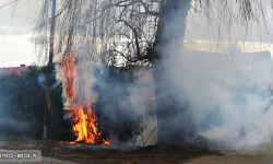 W Stolcu na skraju posesji palił się żywopłot. Interweniowali strażacy [foto]