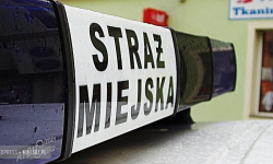 Straż miejska w Ziębicach z dwoma komendantami? Gmina uboższa o blisko 75 tys. zł