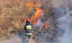 Trwa ogólnopolska kampania „Stop pożarom traw”. Strażacy od początku roku wyjeżdżali do 60 zdarzeń