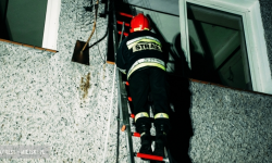 Strażacy uwalniali zaplątaną w sznurek jaskółkę. Szukali też zaginionej nastolatki [raport]