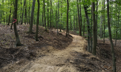 Trwa budowa singletracków na terenie gminy Ziębice