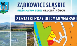 Kolejne działki na sprzedaż w Ząbkowicach Śląskich