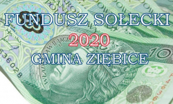 Fundusz sołecki 2020 w gminie Ziębice. Co zaplanowano?
