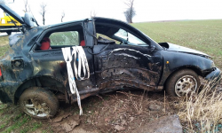 25-latka dachowała Audi. Tłumaczyła, że chciała ominąć sarnę