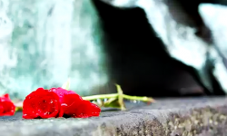 Zarząd Powiatu Ząbkowickiego: „Na nieludzkiej ziemi - wspomnienia Sybiraków”. Konkurs literacki