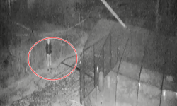 Zniszczył foliak na terenie gospodarstwa domowego. Nagrała go kamera [video]