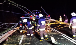 Niż Julia w powiecie ząbkowickim. Zerwane dachy i linie energetyczne, powalone drzewa