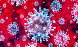 Informacje z terenu powiatu ząbkowickiego dotyczące koronawirusa - 15.03, godz. 14.15 [AKTUALIZACJA]