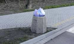 Gmina Ząbkowice Śląskie prosi o przestrzeganie zasad wyrzucania odpadów  [foto]