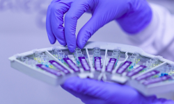 Informacje z terenu powiatu ząbkowickiego dotyczące koronawirusa - 8 kwietnia, godz. 15.00