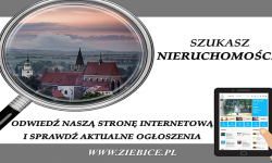 Gmina Ziębice oferuje nieruchomości na wynajem i sprzedaż