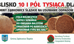 Dofinansowanie na walkę o czystszą gminę