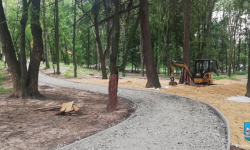 #ZieloneZąbkowice. Park przy stadionie pięknieje