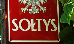 W Rososznicy będą wybierać sołtysa, w Lipie uzupełnią skład rady sołeckiej