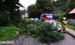 Konar drzewa spadł na przejeżdżający samochód osobowy