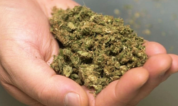 17-latka udzielała narkotyków rok młodszej koleżance. Trafiła do aresztu