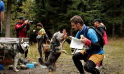 Miłośnicy dogtrekkingu zjadą się z całej Polski, aby rywalizować w Górach Złotych