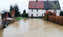 Zalane posesje i lokalne podtopienia na terenie gminy Ziębice po opadach deszczu