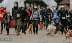 Dogtrekkingowy Finał Pucharu Polski w Złotym Stoku [foto]