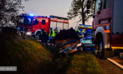 Uwięziony lis w studzience, częściowe zawalenia budynków i wypadki - raport straży pożarnej