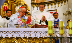 Kardynał Henryk Gulbinowicz pozbawiony tytułu Honorowego Obywatela Gminy Ziębice