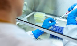 Aktualne informacje z terenu powiatu ząbkowickiego dotyczące koronawirusa - 3.12, godz. 10