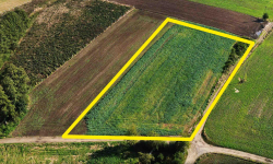 Do kupienia nieruchomość rolna w Stolcu