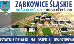 Ostatnie działki pod budowę domku jednorodzinnego na Osiedlu Owocowym