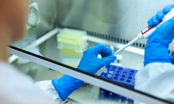 Aktualne informacje z terenu powiatu ząbkowickiego dotyczące koronawirusa - 18.02, godz. 10.30